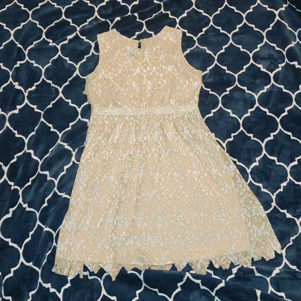 Excellent Condition Size XL (14-16) holiday dress